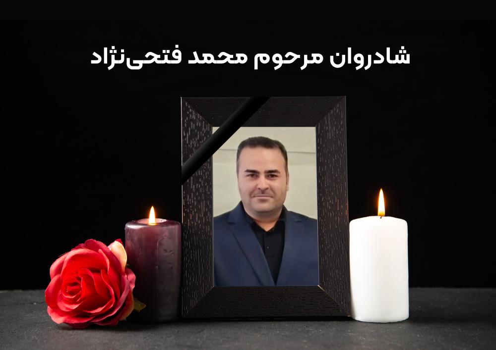 محمد فتحی نژاد