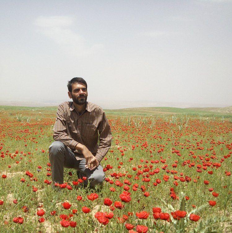 حاج وحید مولایی