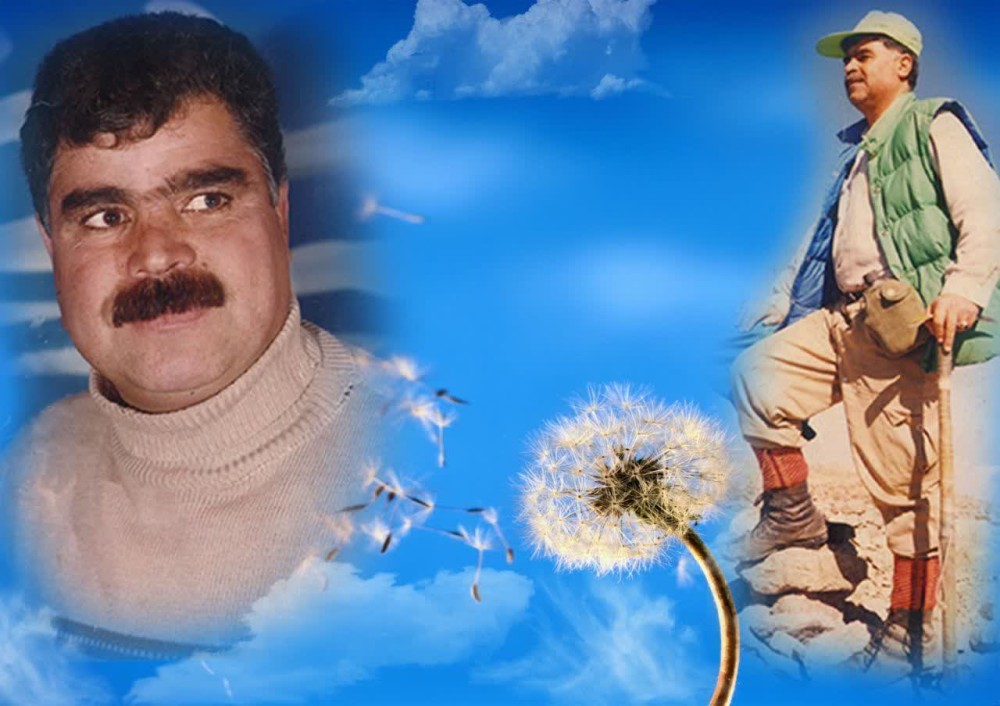 رضا گوهری